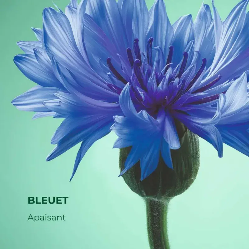 Demakilant Ekspres Pur Bleuet 200ml thumbnail 2
