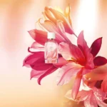 Parfum Plein Soleil 100ml - Figura 3