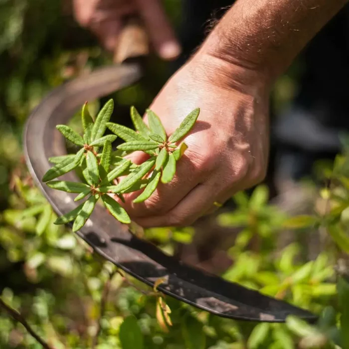 07886_5 Krem hidratues kundër akneve, 40 ml. - Figura 7