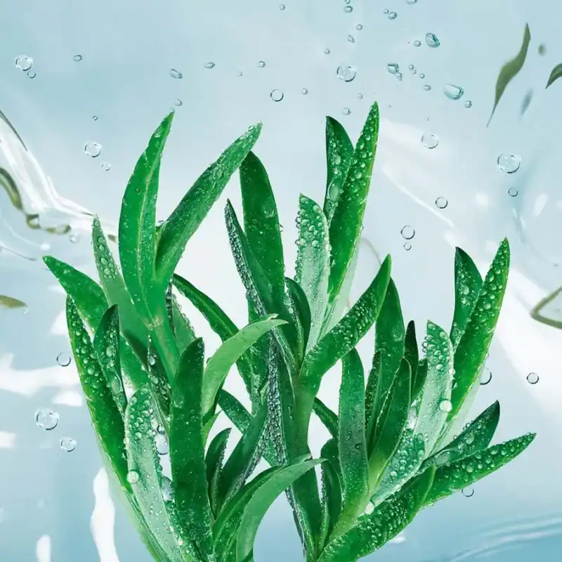 Maskë hidratuese Hydra Vegetal 75ml. thumbnail 4