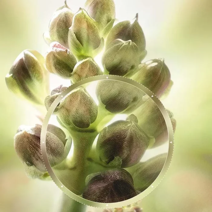 Locioni Anti Age Global 125ml - Figura 3