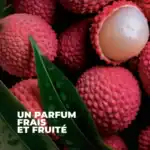 Xhel larës për duart me Litchi 190 ml - Figura 3
